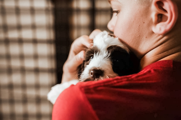 Do dogs have a positive effect on children?