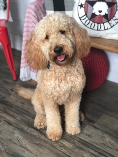 Tucker