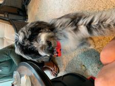 Doris and Michael Bortj